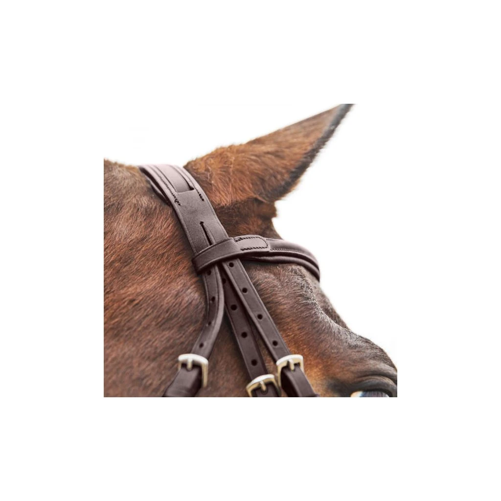 New! Horze Prescott Figure 8 Bridle, 10012 4 New! Horze Prescott Figure 8 Bridle, 10012 - Image 2