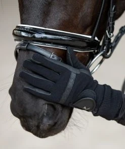 New! Horze Grayson Classic Dressage Ergonomic Bridle, 10084-BL-C -Outlet Horze Store 1729339 A4