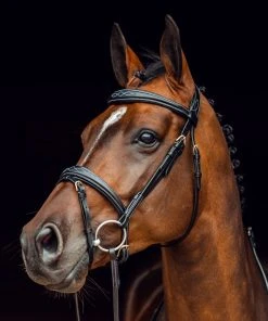 New! Horze Sion Bridle with Reins, 10117-BL-P -Outlet Horze Store 1729343 A2