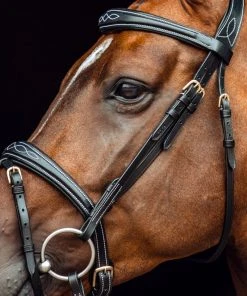 New! Horze Sion Bridle with Reins, 10117-BL-P -Outlet Horze Store 1729343 A3