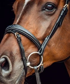 New! Horze Sion Bridle with Reins, 10117-BL-P -Outlet Horze Store 1729343 A4