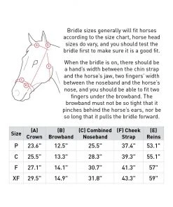 New! Horze Sion Bridle with Reins, 10117-BL-P -Outlet Horze Store 1729343 A6