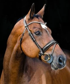 Outlet Horze Store -Outlet Horze Store 1729350 A1