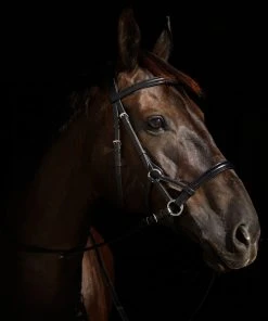 New! Horze Denver Bitless Bridle, 10124-BL-C -Outlet Horze Store 1729357 A2